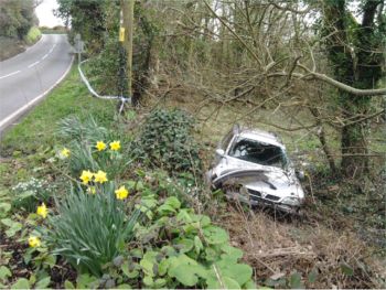 to park squarely under the tree.