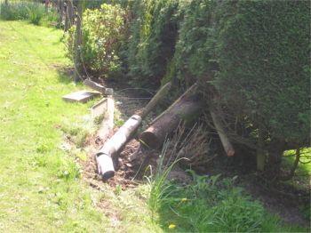 Straight into the fence posts